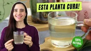 O melhor CHÁ para seu intestino! É mais saudável e fácil! Descubra porque é melhor!