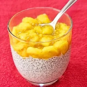 Sobremesa ou Café da manhã ? Delicia Fácil, Sem Açúcar, Sem Leite e Sem forno!