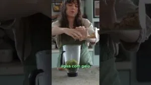 Suas crianças vão amar esse Pesto Caseiro: Tão Verde que Parece Mágica!