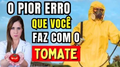 Nunca Faça ISSO com o TOMATE – 5 Erros Comuns que Você Precisa EVITAR