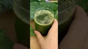 O suco mais poderoso que já fiz! 😱🌱💪 Descubra o segredo!