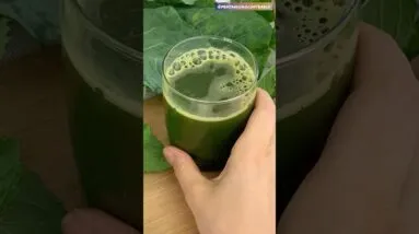 O suco mais poderoso que já fiz! 😱🌱💪 Descubra o segredo!