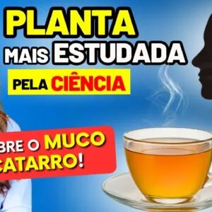 Planta Nº1 Que Ajuda a REDUZIR MUCO e CATARRO da GARGANTA — Saiba Como Usar Segundo a CIÊNCIA