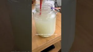 Faça o LIMÃO virar “IOGURTE” probiótico! Ninguém acredita! 😱🍋