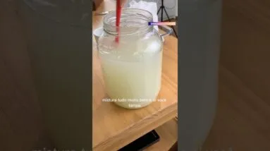 Faça o LIMÃO virar “IOGURTE” probiótico! Ninguém acredita! 😱🍋
