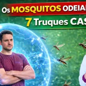Os MOSQUITOS ODEIAM ISSO! 7 Truques CASEIROS e as Verdades sobre Alimentos