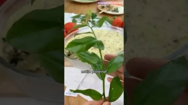 É MELHOR QUE CARNE! Esta planta tem tanta proteína!😱🌱💪