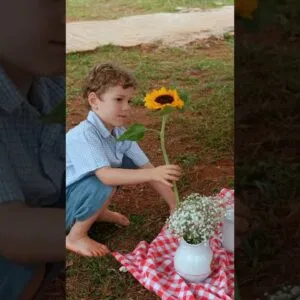 ESCREVI MAIS UM LIVRO! 🐻🎨 Realizei o sonho de transformar a alimentação em história