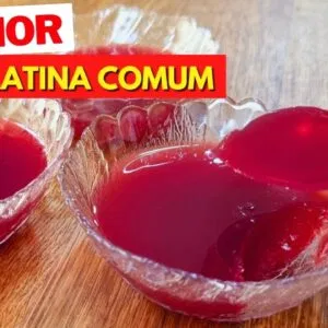 Gelatina VEGANA que estimula COLÁGENO! Zero Açúcar, Fácil e Deliciosa