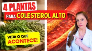 4 Plantas SUPER PODEROSAS para o COLESTEROL ALTO
