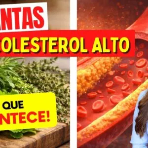 4 Plantas SUPER PODEROSAS para o COLESTEROL ALTO
