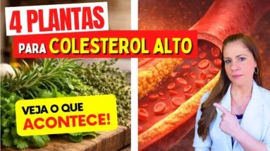 4 Plantas SUPER PODEROSAS para o COLESTEROL ALTO