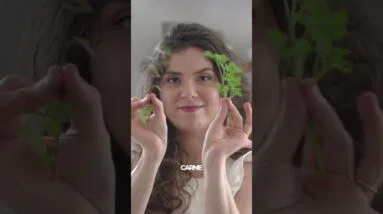 Meu bebê comeu rã!