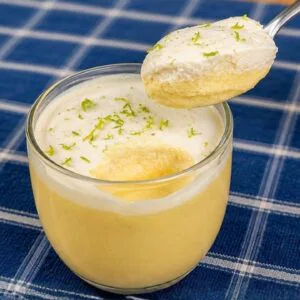 Café da Manhã Delicioso, MUITA PROTEÍNA E FIBRA, Poucas Calorias, Fácil, Rápido e Barato!