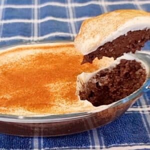 Muitas PROTEÍNAS e FIBRAS, quase SEM CARBOIDRATOS! Fácil, Rápido, Barato e Saudável Sem Açúcar