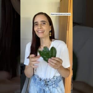 É assim que USO A FOLHA DO LIMÃO em casa! É um TESOURO!