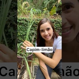 É assim que USO CAPIM LIMÃO!Os benefícios são incríveis.