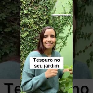 É assim que uso o BOLDO DE JARDIM! Tesouro escondido!