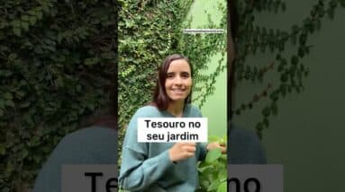 É assim que uso o BOLDO DE JARDIM! Tesouro escondido!