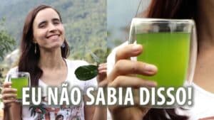 Resolvi cozinhar com FOLHAS de LIMOEIRO | Foi isso o que aconteceu!