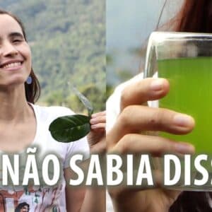 Resolvi cozinhar com FOLHAS de LIMOEIRO | Foi isso o que aconteceu!