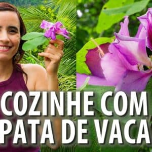 NASCE na calçada e AJUDA A DIABETES! Cozinhei com ela! Muitos BENEFÍCIOS! Ep. 5