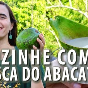 A CASCA DO ABACATE vale OURO! COZINHEI COM ELA! Muitos benefícios!