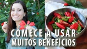 NINGUÉM SABE, mas estas FLORES são COMESTÍVEIS e MUITO SAUDÁVEIS! Descubra como usar! Ep.4
