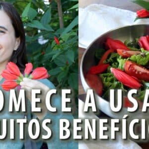 NINGUÉM SABE, mas estas FLORES são COMESTÍVEIS e MUITO SAUDÁVEIS! Descubra como usar! Ep.4