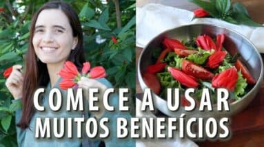 NINGUÉM SABE, mas estas FLORES são COMESTÍVEIS e MUITO SAUDÁVEIS! Descubra como usar! Ep.4