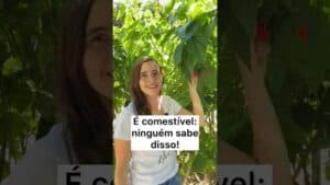 Ninguém sabe, MAS É COMESTÍVEL! É assim que USO!