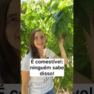 Ninguém sabe, MAS É COMESTÍVEL! É assim que USO!