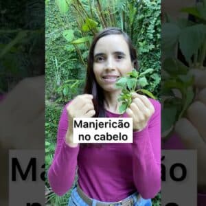 É assim que USO MANJERICÃO NOS CABELOS! Muitos benefícios!