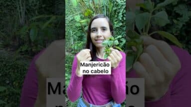 É assim que USO MANJERICÃO NOS CABELOS! Muitos benefícios!