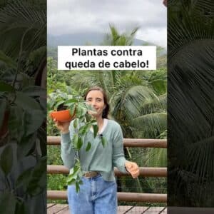 Acabei com A QUEDA DE CABELO NATURALMENTE! Use estas plantas!
