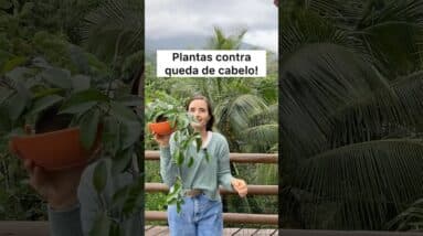 Acabei com A QUEDA DE CABELO NATURALMENTE! Use estas plantas!