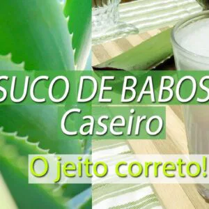Como Fazer Suco de Babosa CORRETAMENTE | Benefícios Comprovados