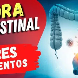 6 Piores Alimentos para sua FLORA INTESTINAL