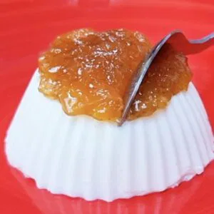 Delícia SEM AÇÚCAR e POUCAS CALORIAS! Fácil, Rápido e Poucos Carboidratos (Low Carb)