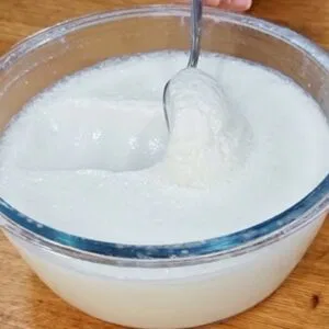 IOGURTE NATURAL CASEIRO - FÁCIL e BARATO - CREMOSO e SAUDÁVEL (Só 2 Ingredientes)