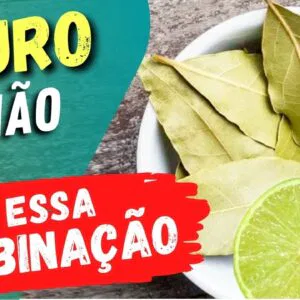 Misture FOLHAS DE LOURO com LIMÃO e Veja o que ACONTECE com Você! (Use Assim)