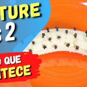 Misture BANANA e CRAVO e Veja o que ACONTECE com Você! (Use Assim)