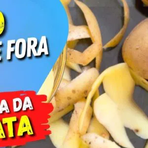 NÃO JOGUE FORA A CASCA DA BATATA! Benefícios, Receitas e Dicas