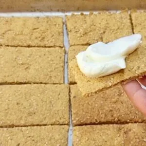 SUBSTITUA O PÃO! Poucos Carboidratos, SEM FARINHA, LEITE, OVO e MANTEIGA - Low Carb Fácil e Rápida