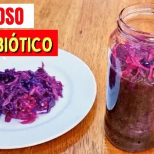 PROBIÓTICO PODEROSO com SÓ 2 INGREDIENTES! Gostoso, Sem Açúcar, Fácil e Barato! (Low Carb)