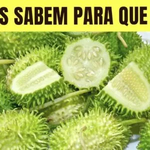 Você Não Imagina que 1 MAXIXE Possa Fazer Tudo Isso! (Como Usar e Benefícios)