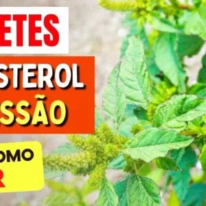 A Planta para DIABETES, COLESTEROL e PRESSÃO - Benefícios do Carurú, Chá, Como Usar e Dicas