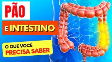 PÃO e INTESTINO - O que você PRECISA SABER!