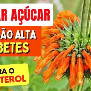 Planta para BAIXAR AÇÚCAR, PRESSÃO e COLESTEROL - Benefícios do Cordão de Frade, Como Usar e Dicas