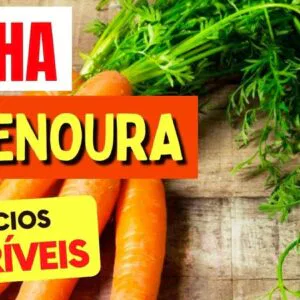 Benefícios das FOLHAS DE CENOURA que TODOS DEVERIAM CONHECER! Use ASSIM!